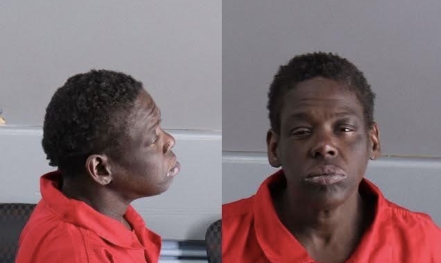 Tyeshia Hutchins Birmingham Jail Death: